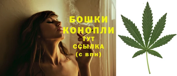 мескалин Бородино