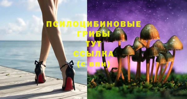 трава Бугульма